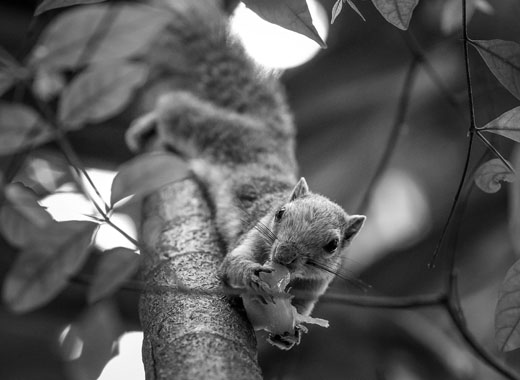 在线接收短信验证码